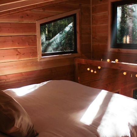 Cabanas Bosque Milenario Coñaripe Zewnętrze zdjęcie