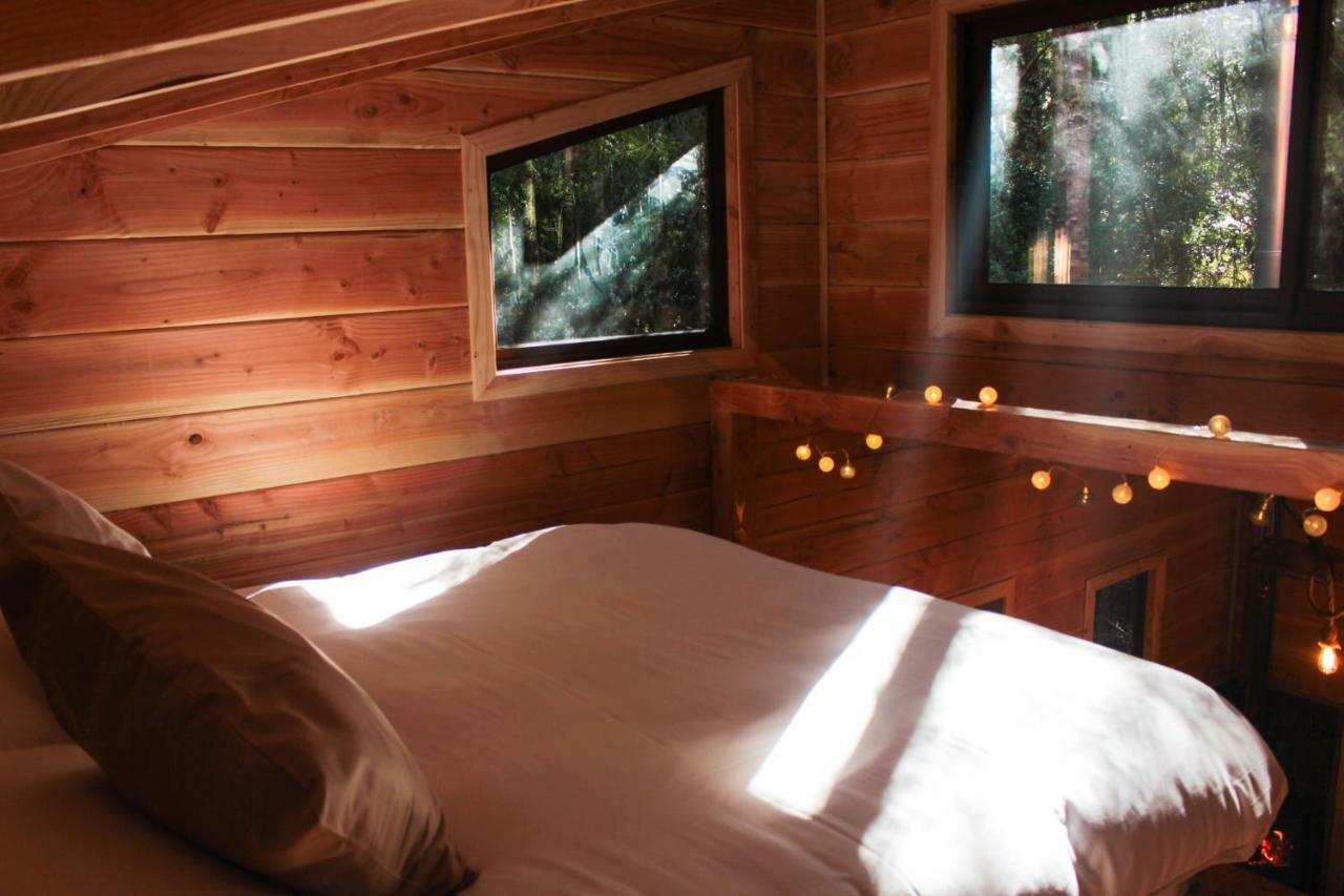 Cabanas Bosque Milenario Coñaripe Zewnętrze zdjęcie