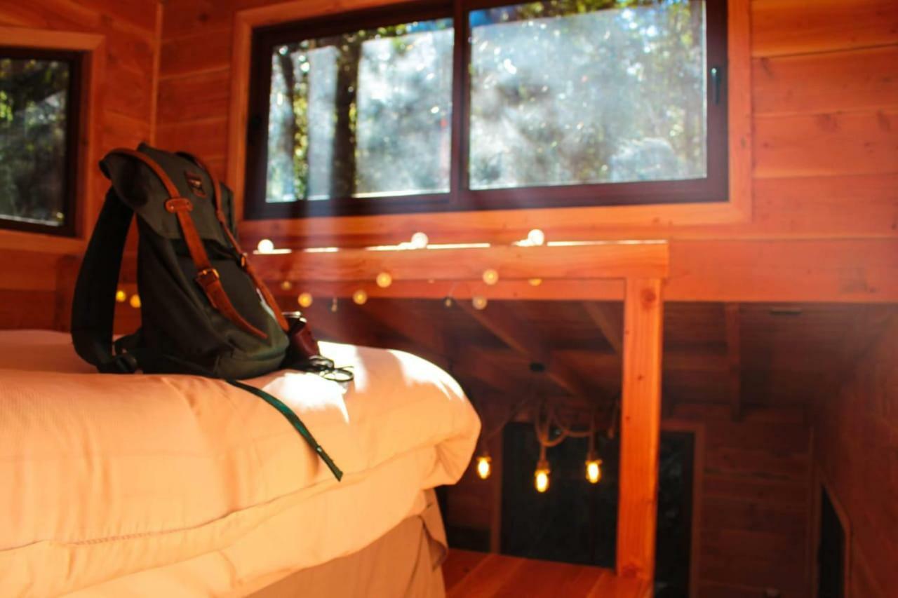 Cabanas Bosque Milenario Coñaripe Zewnętrze zdjęcie
