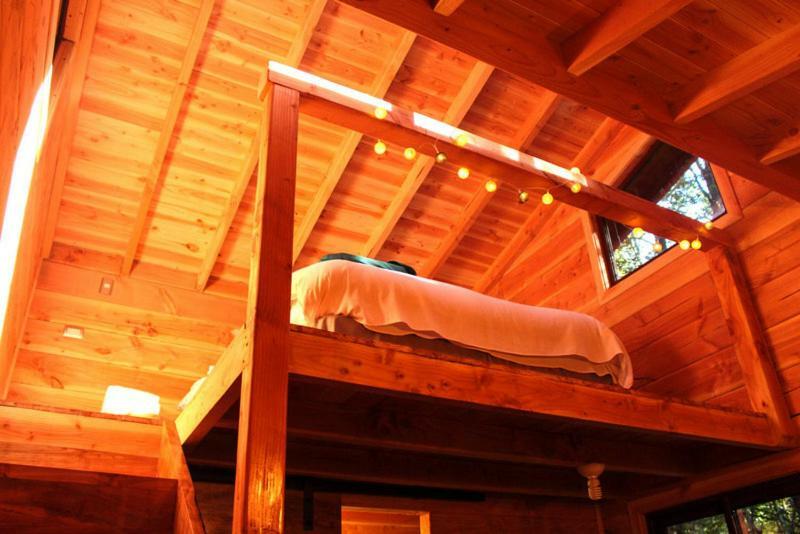 Cabanas Bosque Milenario Coñaripe Zewnętrze zdjęcie