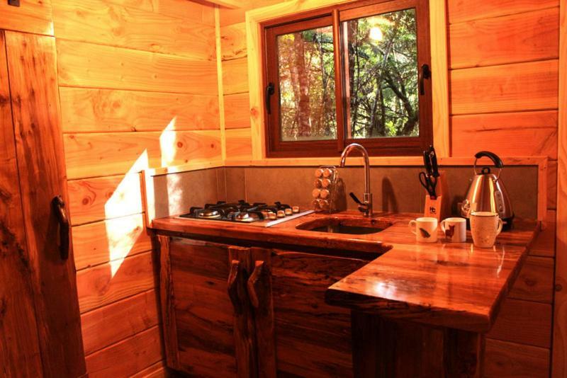 Cabanas Bosque Milenario Coñaripe Zewnętrze zdjęcie