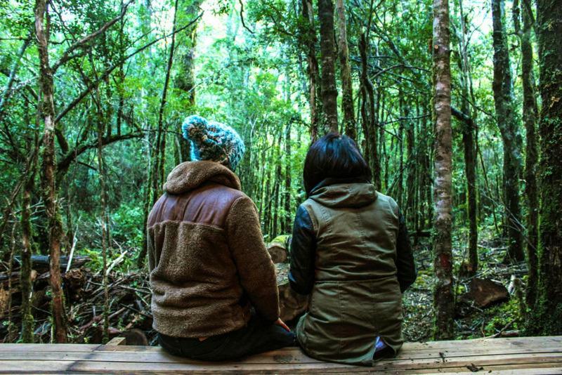 Cabanas Bosque Milenario Coñaripe Zewnętrze zdjęcie