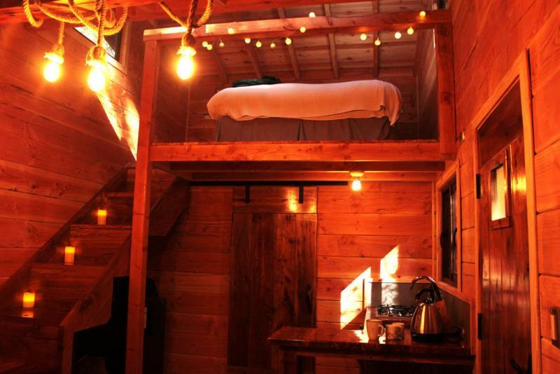 Cabanas Bosque Milenario Coñaripe Zewnętrze zdjęcie