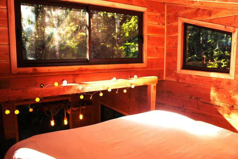 Cabanas Bosque Milenario Coñaripe Zewnętrze zdjęcie