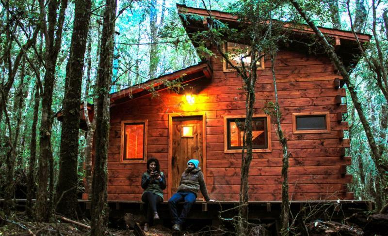 Cabanas Bosque Milenario Coñaripe Zewnętrze zdjęcie