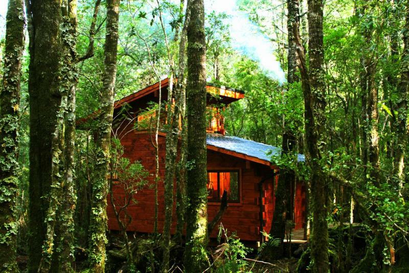 Cabanas Bosque Milenario Coñaripe Zewnętrze zdjęcie