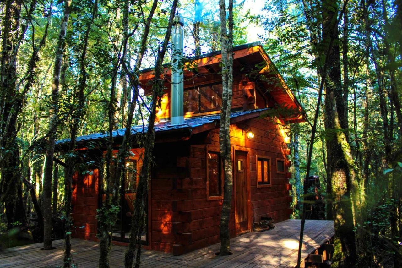 Cabanas Bosque Milenario Coñaripe Zewnętrze zdjęcie