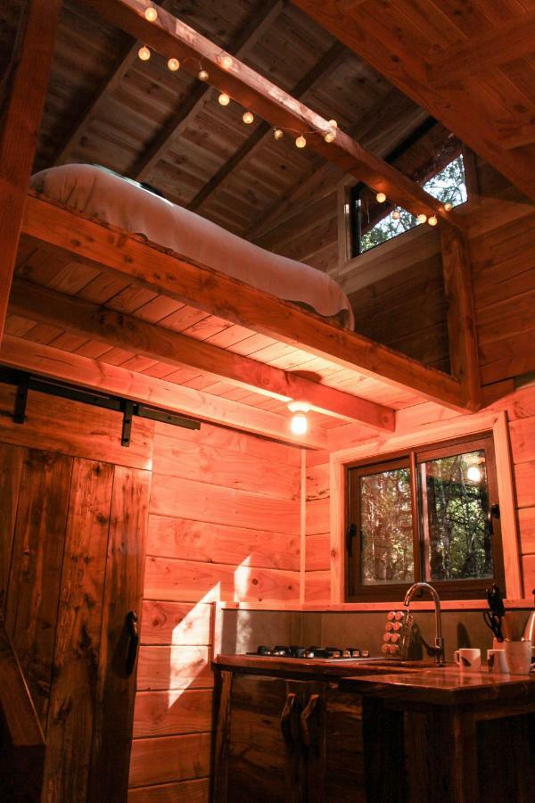 Cabanas Bosque Milenario Coñaripe Zewnętrze zdjęcie