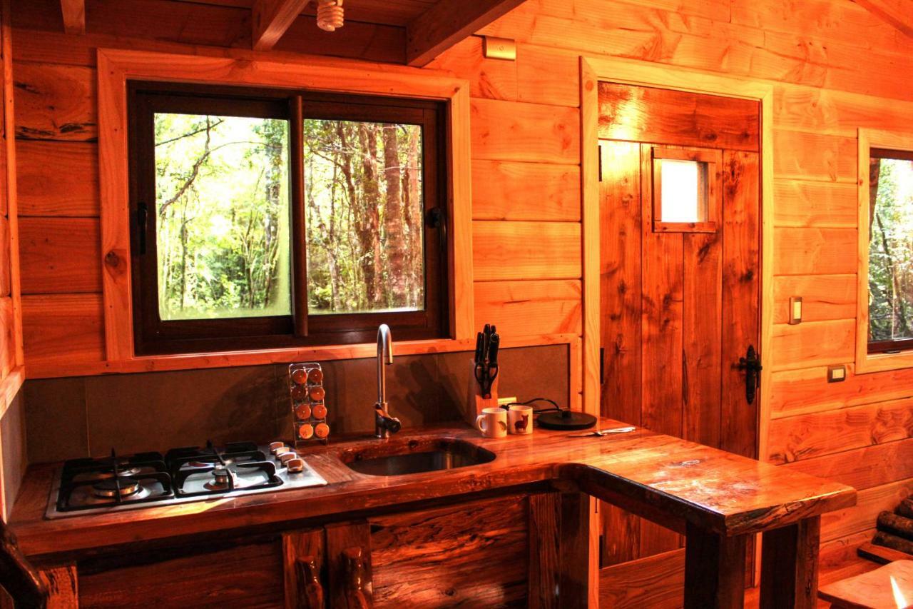 Cabanas Bosque Milenario Coñaripe Zewnętrze zdjęcie