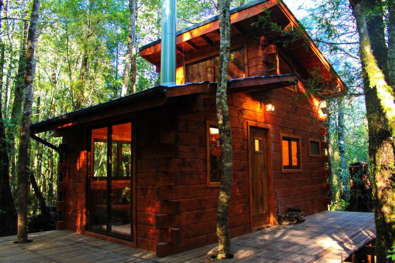 Cabanas Bosque Milenario Coñaripe Zewnętrze zdjęcie