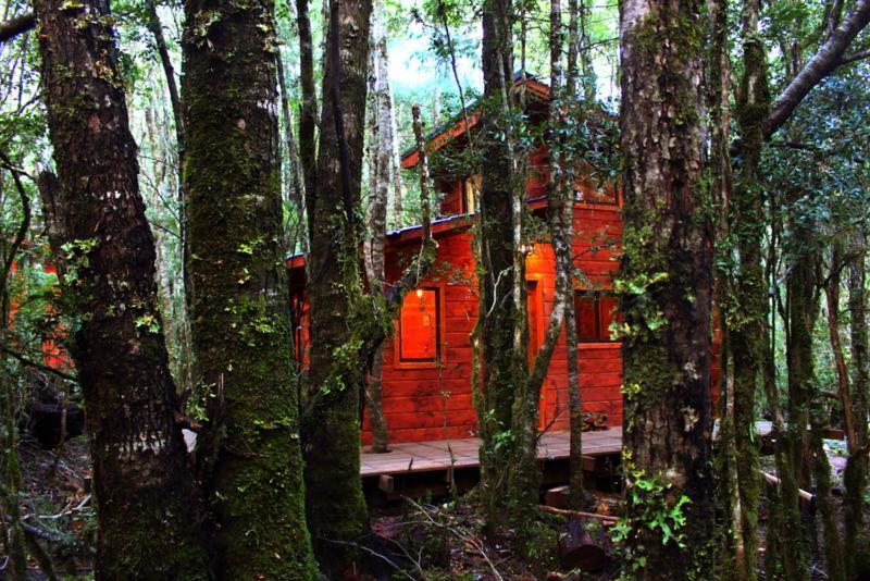 Cabanas Bosque Milenario Coñaripe Zewnętrze zdjęcie